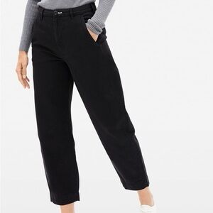 Everlane Curved Canvas Pant